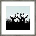 Deer Silhouette Framed Print