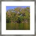 Silver Springs - Old-style Florida Framed Print