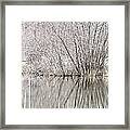Silvery Winter's Day Framed Print