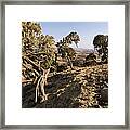 Simien Escarpment Landscape From Simien Framed Print