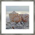 Simplicity And Solitude Framed Print