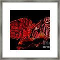 Simply Red Framed Print