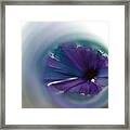 Sinking Into Beauty Framed Print