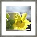 Sipping Spring Framed Print