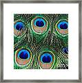 Six Eyes Framed Print