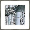 Skele Bat Framed Print