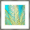 Sketchy Palm Fronds Framed Print