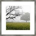 Skc 0058 Contrasty Trees Framed Print