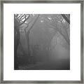 Skc 0077 A Romatic Path Framed Print