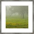 Skc 0835 Romance In The Meadows Framed Print