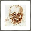 Skull Anatomy By Leonardo Da Vinci Framed Print