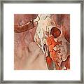 Skull Of The Brave Framed Print