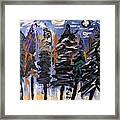 Sky Above The Forest Framed Print