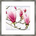 Skyward Magnolia Painterly 2 Framed Print