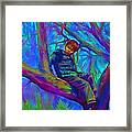 Small Boy In Large Tree Framed Print