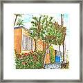 Small Trees In Homewood Ave - Hollywood - California Framed Print