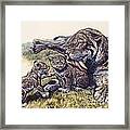 Smilodon Sabertooth Mother And Her Cubs Framed Print