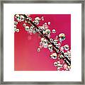 Smoking Pink Drops Ii Framed Print