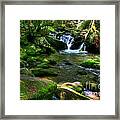 Smoky Mountain Stream 3 Framed Print