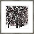Snow And Berries - Square Framed Print