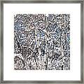 Snow Covered Birch Trees Framed Print