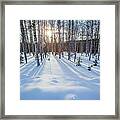 Snow Covered Forest With Afternoon Sun Framed Print