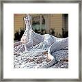 Snow Dragon Framed Print