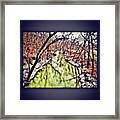 Snow On The Side Of Creek Framed Print