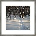 Snow Path Framed Print