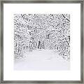 Snow Scene Tree Branches Framed Print