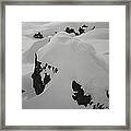Snowface Mother Earth  Protecter Ischgl Austria Framed Print