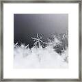 Snowflake 2 Framed Print