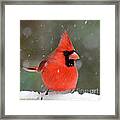 Snowflake Cardinal Framed Print