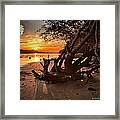 Snow's Cut Driftwood Sunset Framed Print