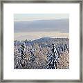 Snowy Forest Seen From Above Framed Print