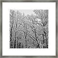 Snowy Landscape Framed Print