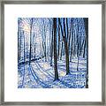 Snowy New England Forest Framed Print