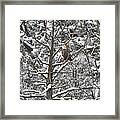 Snowy Perch Bald Eagle Framed Print