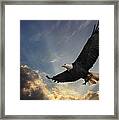 Soar To New Heights Framed Print