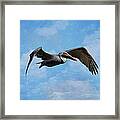 Soaring By Framed Print