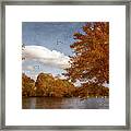 Softly Autumn Framed Print