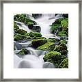 Sol Duc Stream Framed Print