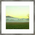 Solitary Tree In The Fog, Great Smoky Framed Print