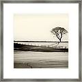 Solitude Framed Print