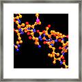 Somatotropin Growth Hormone Molecule Framed Print