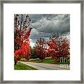 Some Fall Colors Framed Print