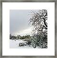 Sonoran Snow Framed Print