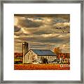 South For The Winter Framed Print