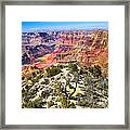 South Rim From The Butte Framed Print