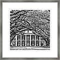 Southern Class Oil Bw Framed Print